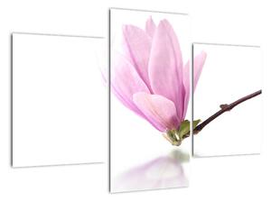 Květ - obraz (90x60cm)
