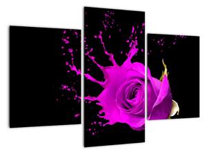 Abstraktní obraz růže - obraz (90x60cm)