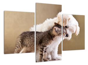 Kotě a štěně - obraz (90x60cm)