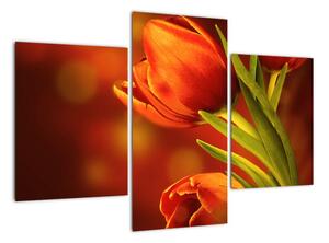 Obraz tulipánů (90x60cm)