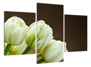 Tulipány - obraz (90x60cm)