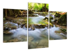 Řeka v lese - obraz (90x60cm)