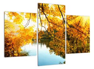 Podzimní krajina - obraz (90x60cm)