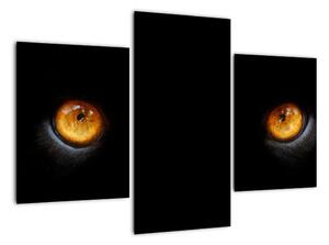 Zvířecí oči - obraz (90x60cm)