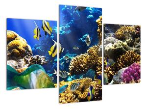 Podmořský svět - obraz (90x60cm)