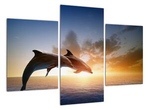 Delfíni - obraz (90x60cm)