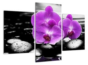 Obraz orchidejí (90x60cm)