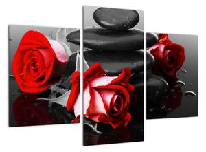 Obraz růží (90x60cm)