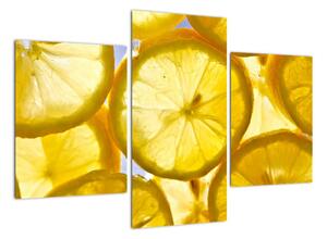 Plátky citrónů - obraz (90x60cm)