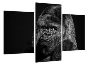 Obraz opice (90x60cm)