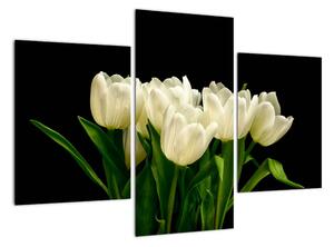 Bílé tulipány - obraz (90x60cm)