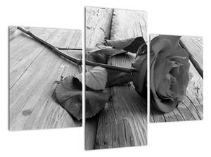 Obraz černobílé růže (90x60cm)