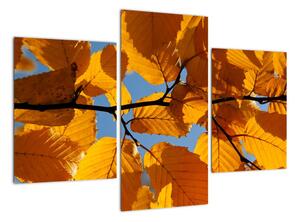 Podzimní listí - obraz (90x60cm)