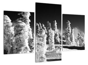 Obraz - zimní hory (90x60cm)