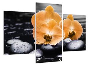 Květ orchideje - obraz na stěnu (90x60cm)