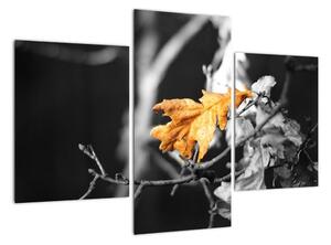 Obraz - přicházející podzim (90x60cm)