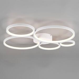 Trio Lighting LED stropní světlo Rondo, bílá matná, stmívatelný, Bílá / opál, Obývací pokoj / jídelna, kov, Moderní