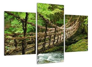 Obraz - most v přírodě (90x60cm)