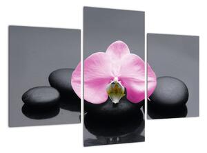 Květ orchideje - obraz (90x60cm)