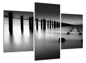 Černobílé moře - obraz (90x60cm)