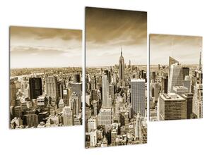 Panorama New York, obraz (90x60cm)