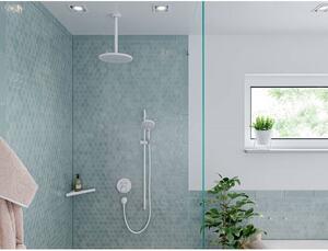 Hansgrohe Raindance Select S Ruční sprcha 12,5 cm, bílá mat 26530700
