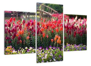 Obraz květinové zahrady (90x60cm)