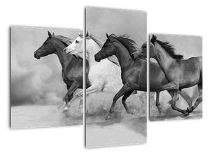 Obraz cválajících koňů (90x60cm)