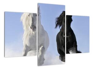 Koně, obraz (90x60cm)