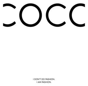 Plakát, Obraz - Finlay & Noa - Coco 1
