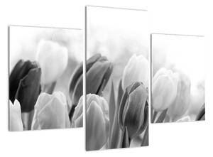 Tulipány, obraz (90x60cm)
