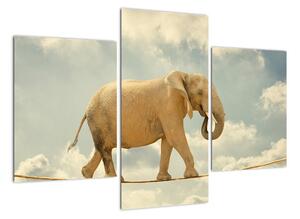 Slon na laně, obraz (90x60cm)
