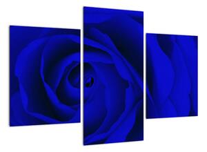 Detail modré růže - obraz (90x60cm)