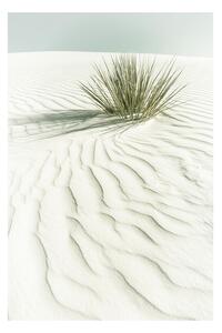 Plakát, Obraz - Melanie Viola - White sands, (40 x 60 cm)