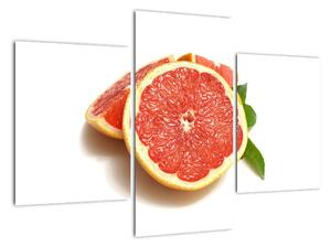 Grapefruit - obraz (90x60cm)