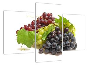 Hroznové víno - obrazy (90x60cm)