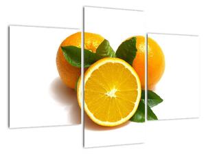 Pomeranče - obraz (90x60cm)