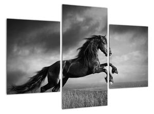 Obraz koně na stěnu (90x60cm)