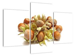 Lískové ořechy - obrazy (90x60cm)