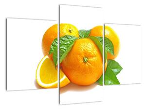 Pomeranče, obraz (90x60cm)