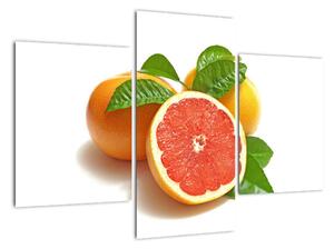 Grapefruit, obraz (90x60cm)
