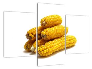 Kukuřice, obraz (90x60cm)
