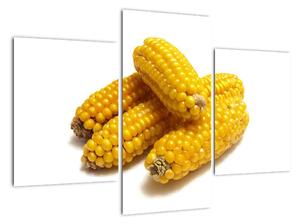 Kukuřice, obraz (90x60cm)