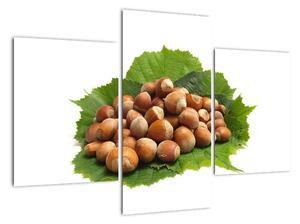 Lískové ořechy, obraz (90x60cm)