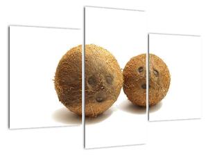 Kokosový ořech, obraz (90x60cm)