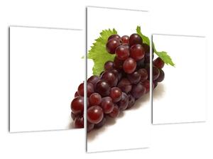 Hroznové víno, obraz (90x60cm)