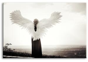 Obraz andělská křídla Velikost (šířka x výška): 60x40 cm
