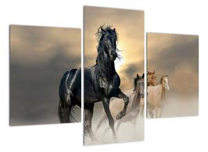 Obraz koně (90x60cm)