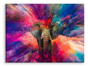 Obraz slon v barvách Velikost (šířka x výška): 90x60 cm