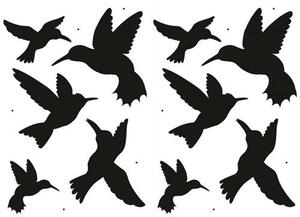 Samolepky na zeď ptáci kolibříci SPN09 45 x 65 cm IMPOL TRADE